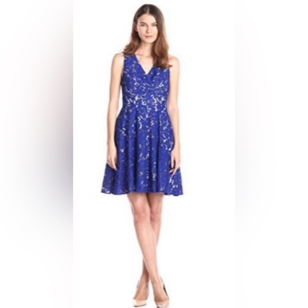 Eliza J - size 2 - royal blue lace dress